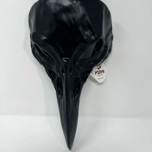 Black Raven Skull Mask